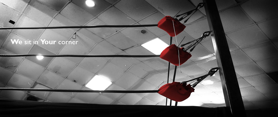 we provide tailored expert vehicle finance and leasing solutions